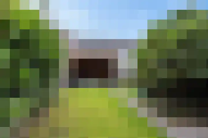 Bosanemoon 18 Assen thumbnail 37