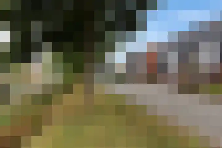 Bosanemoon 18 Assen thumbnail 4