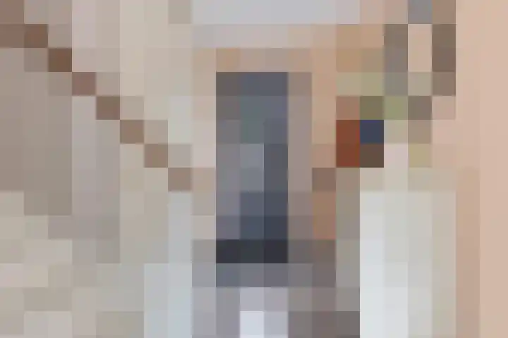 Bosanemoon 18 Assen thumbnail 5