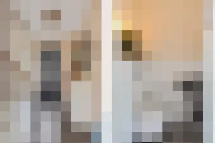 Bosanemoon 18 Assen thumbnail 7