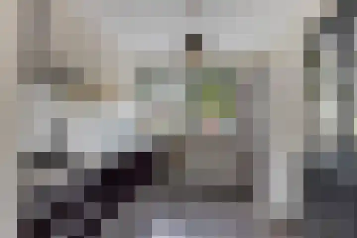 Bosanemoon 18 Assen thumbnail 8