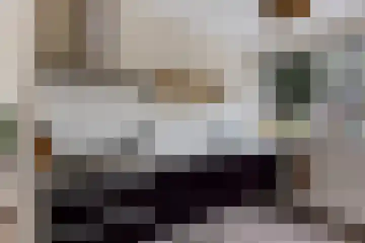 Bosanemoon 18 Assen thumbnail 9