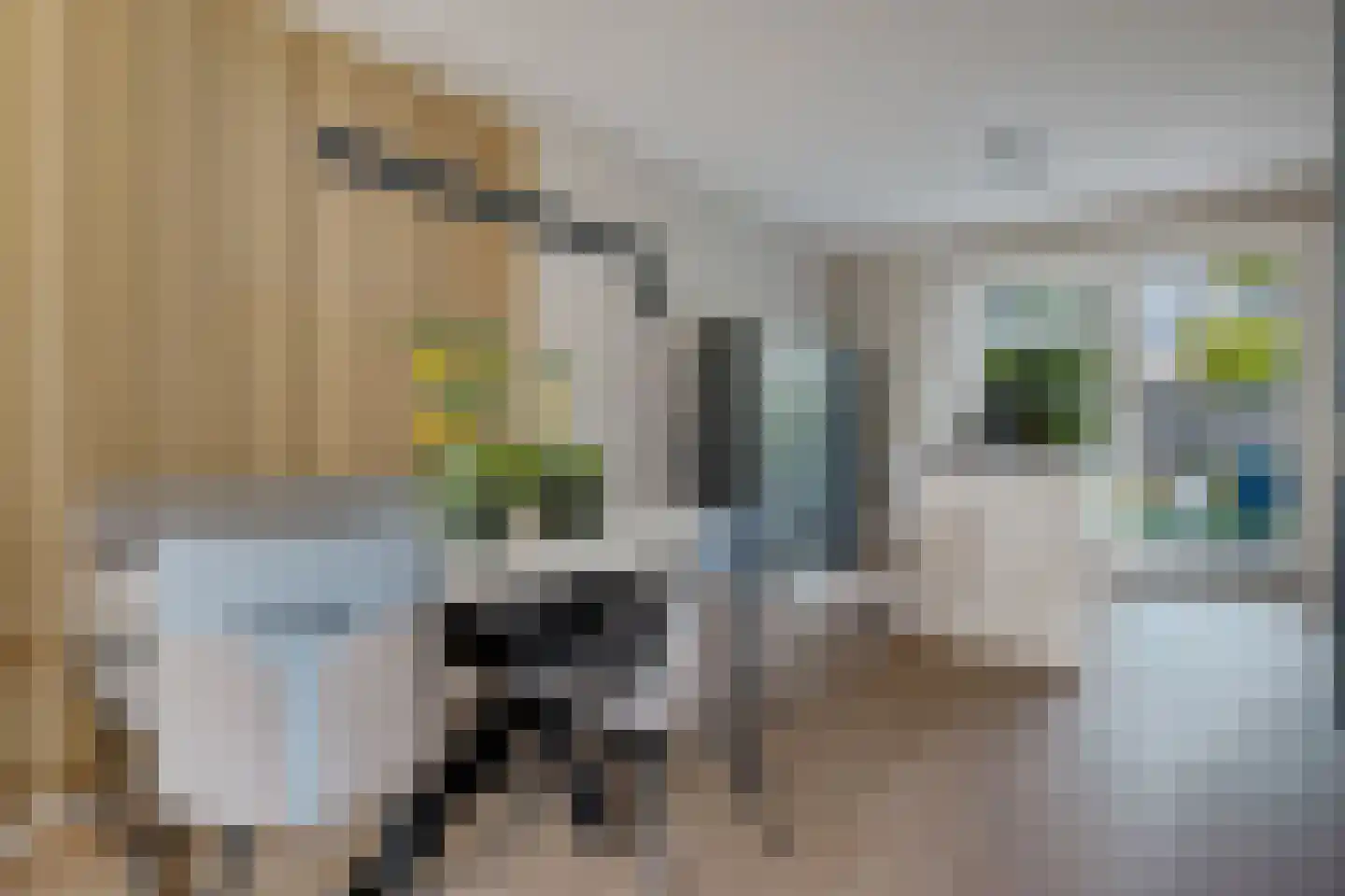 Bosanemoon 38 Assen thumbnail 12
