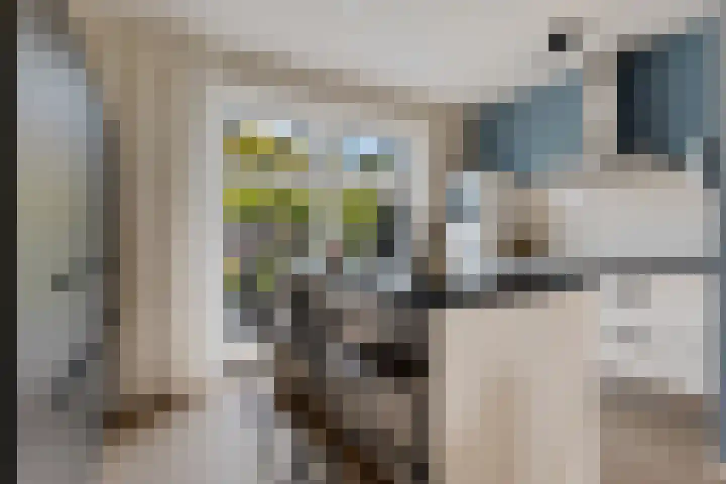 Bosanemoon 38 Assen thumbnail 13