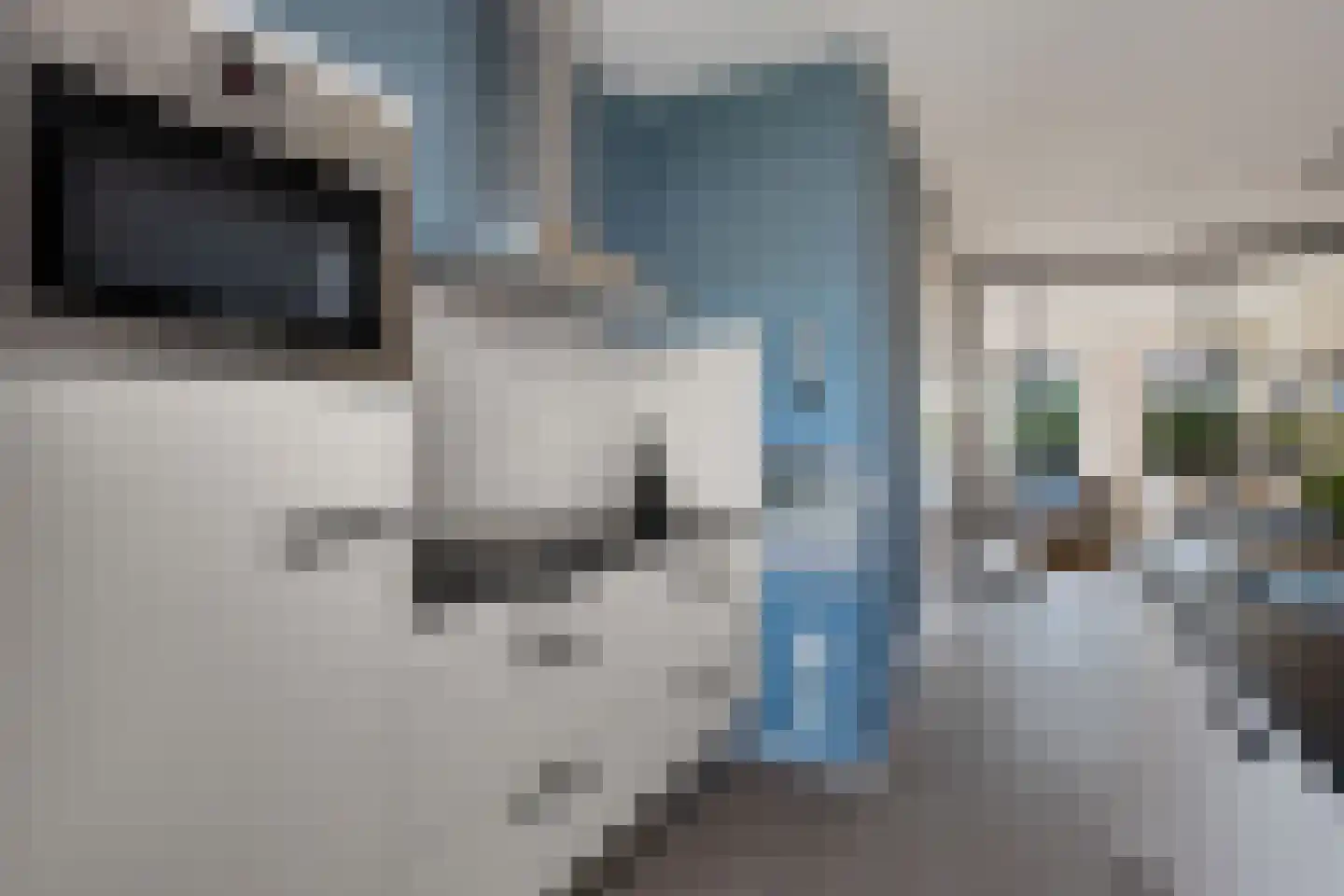 Bosanemoon 38 Assen thumbnail 14