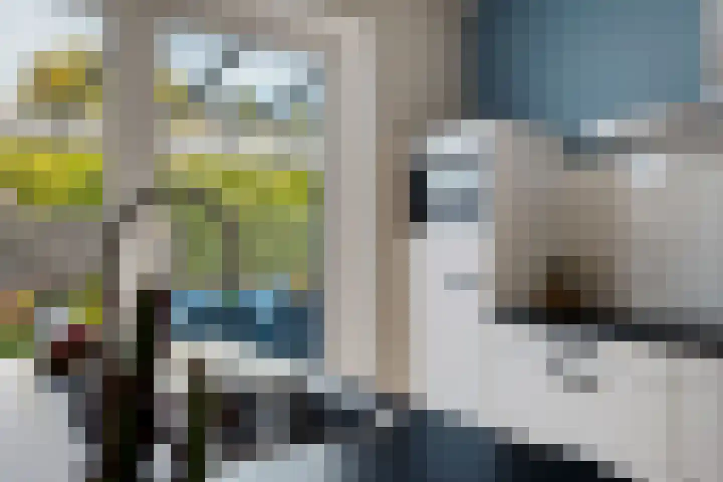 Bosanemoon 38 Assen thumbnail 15