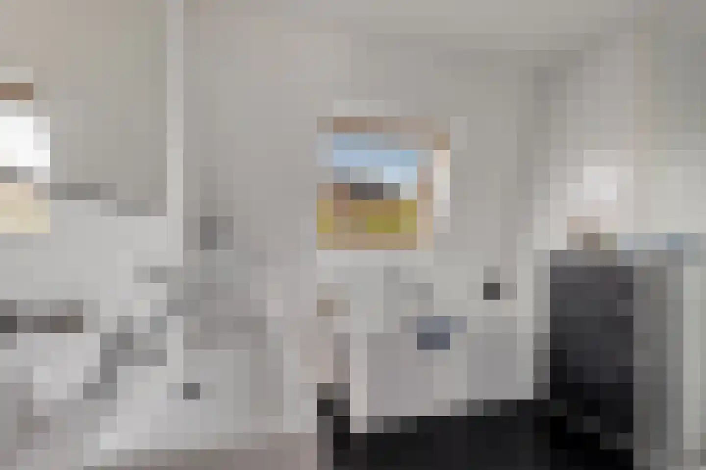 Bosanemoon 38 Assen thumbnail 32
