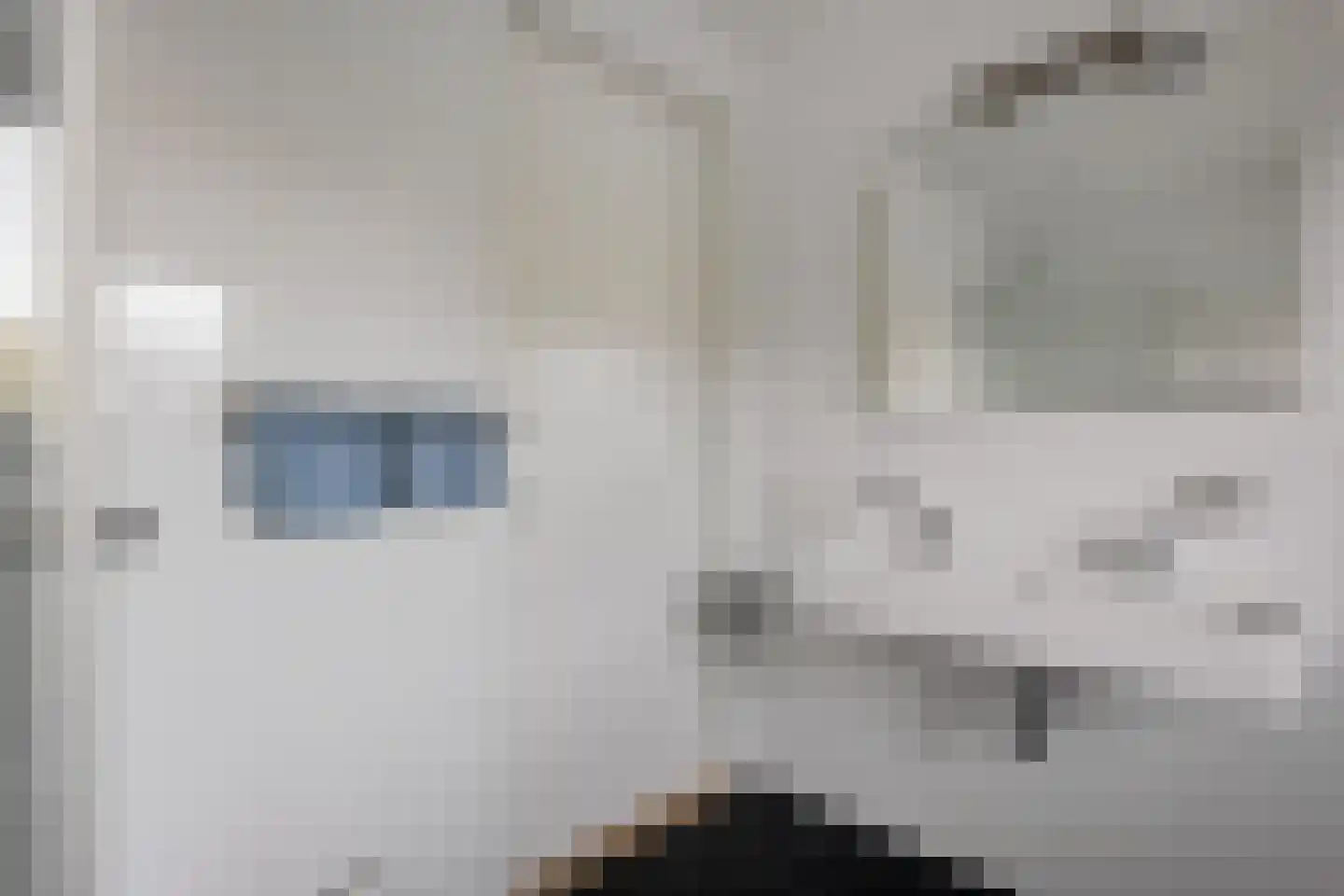Bosanemoon 38 Assen thumbnail 33
