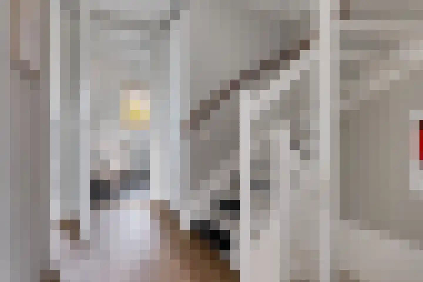 Bosanemoon 38 Assen thumbnail 35