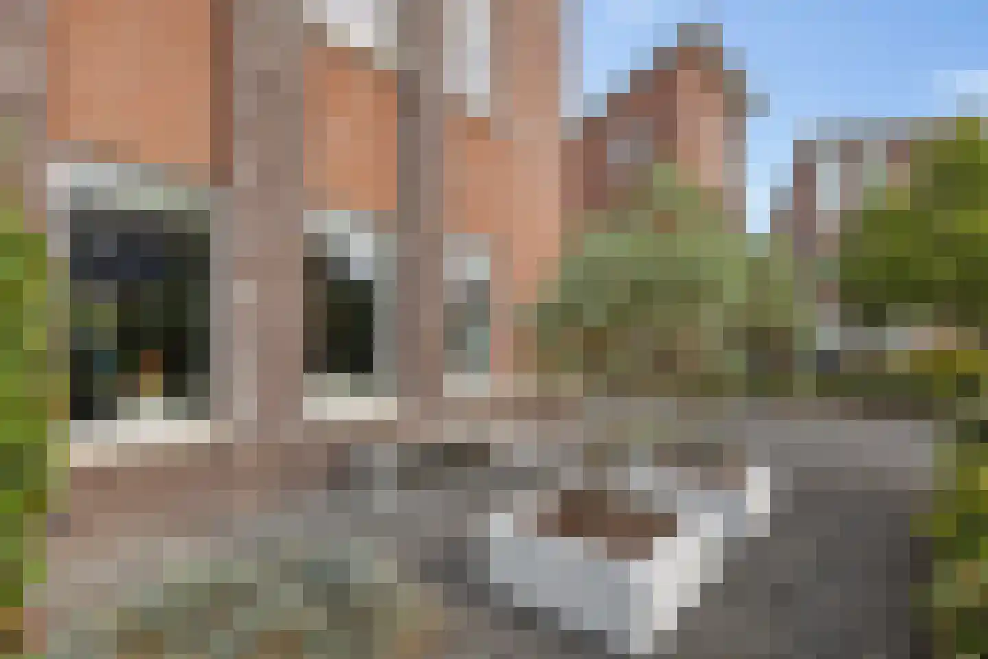 Bosanemoon 38 Assen thumbnail 40
