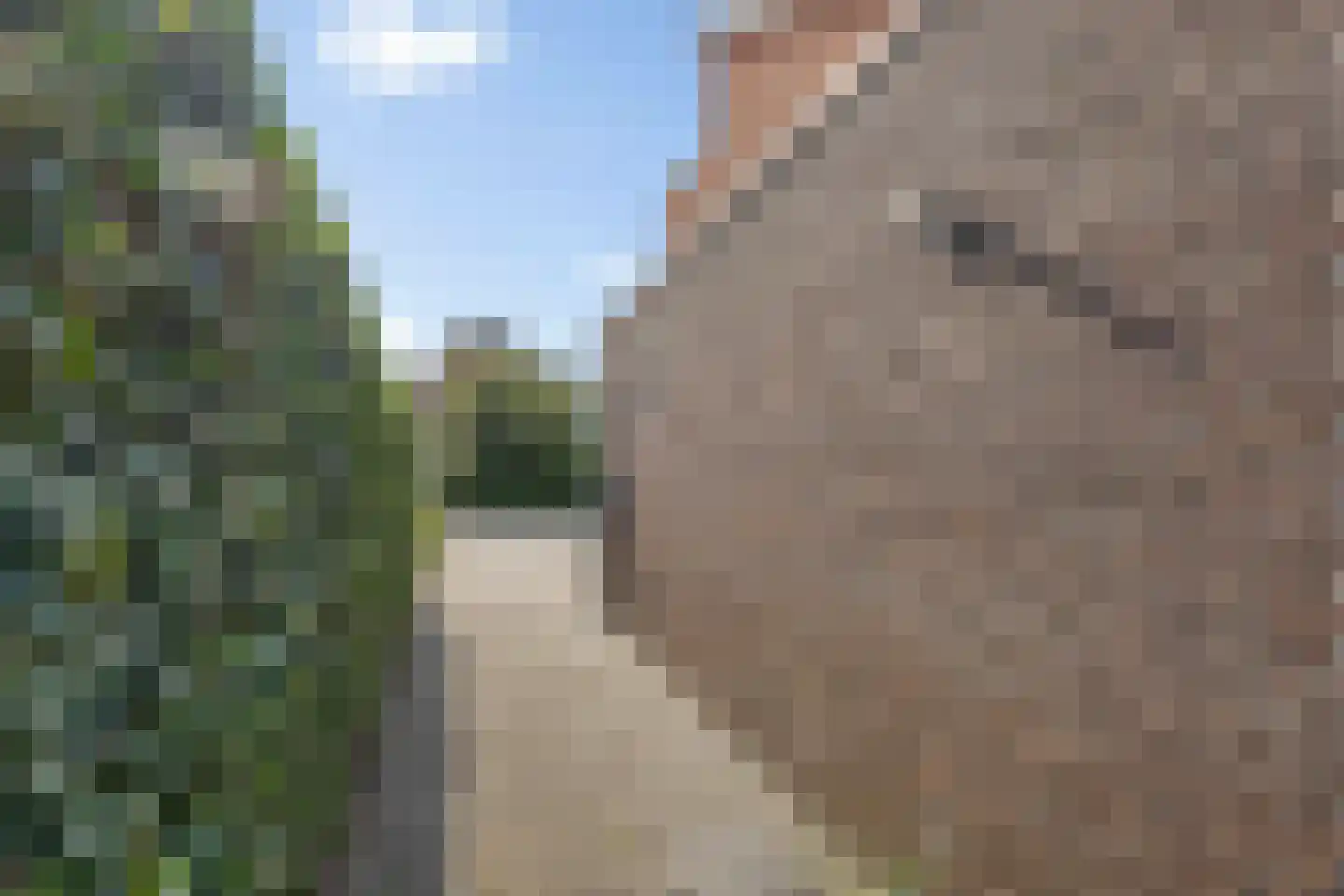 Bosanemoon 38 Assen thumbnail 42