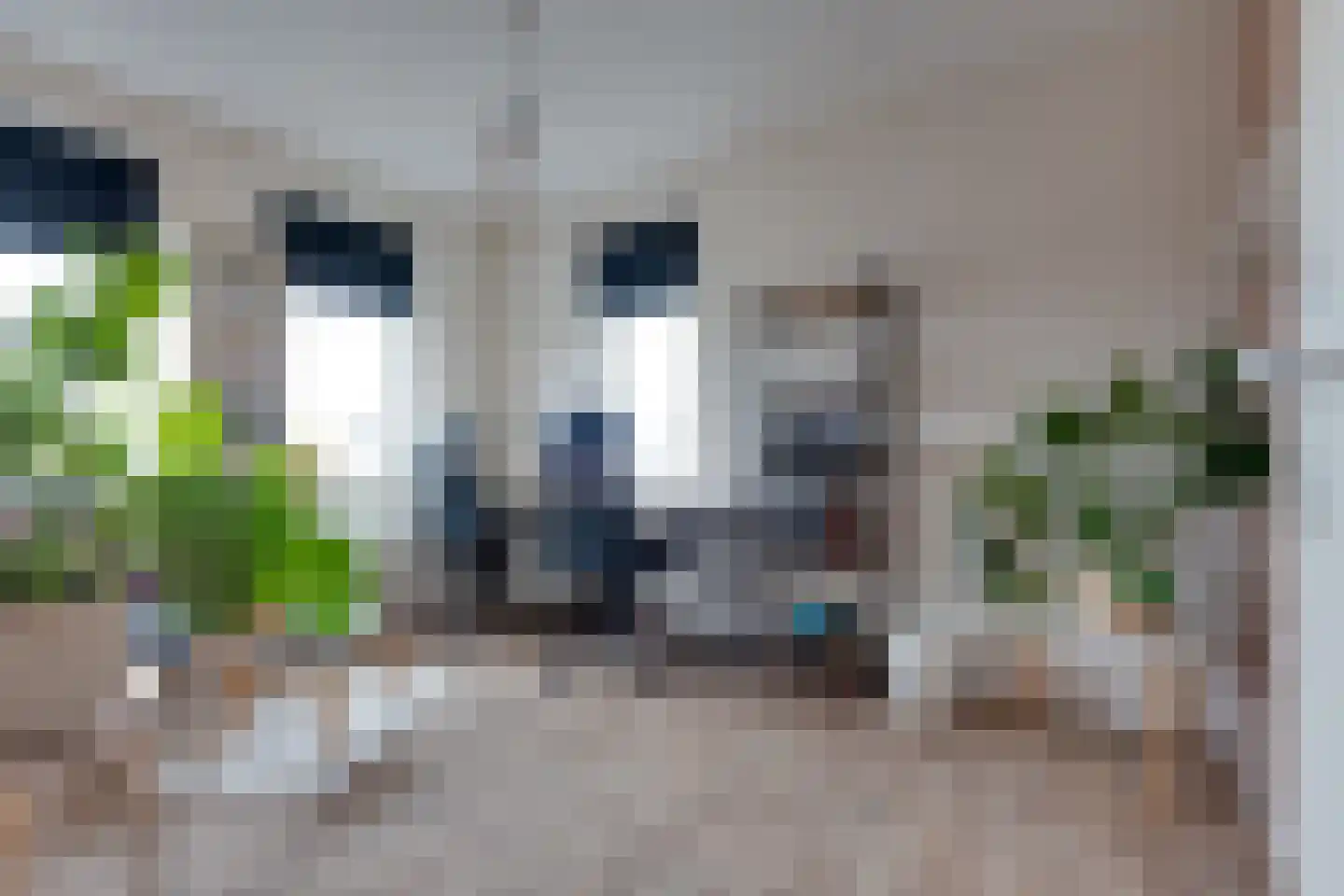 Bosanemoon 70 Assen thumbnail 17