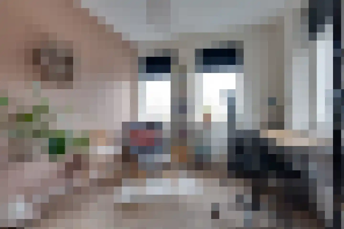 Bosanemoon 70 Assen thumbnail 18