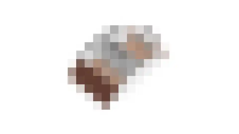 Bosanemoon 70 Assen thumbnail 35
