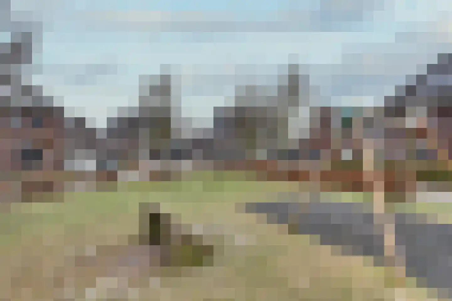 Bosanemoon 70 Assen thumbnail 4