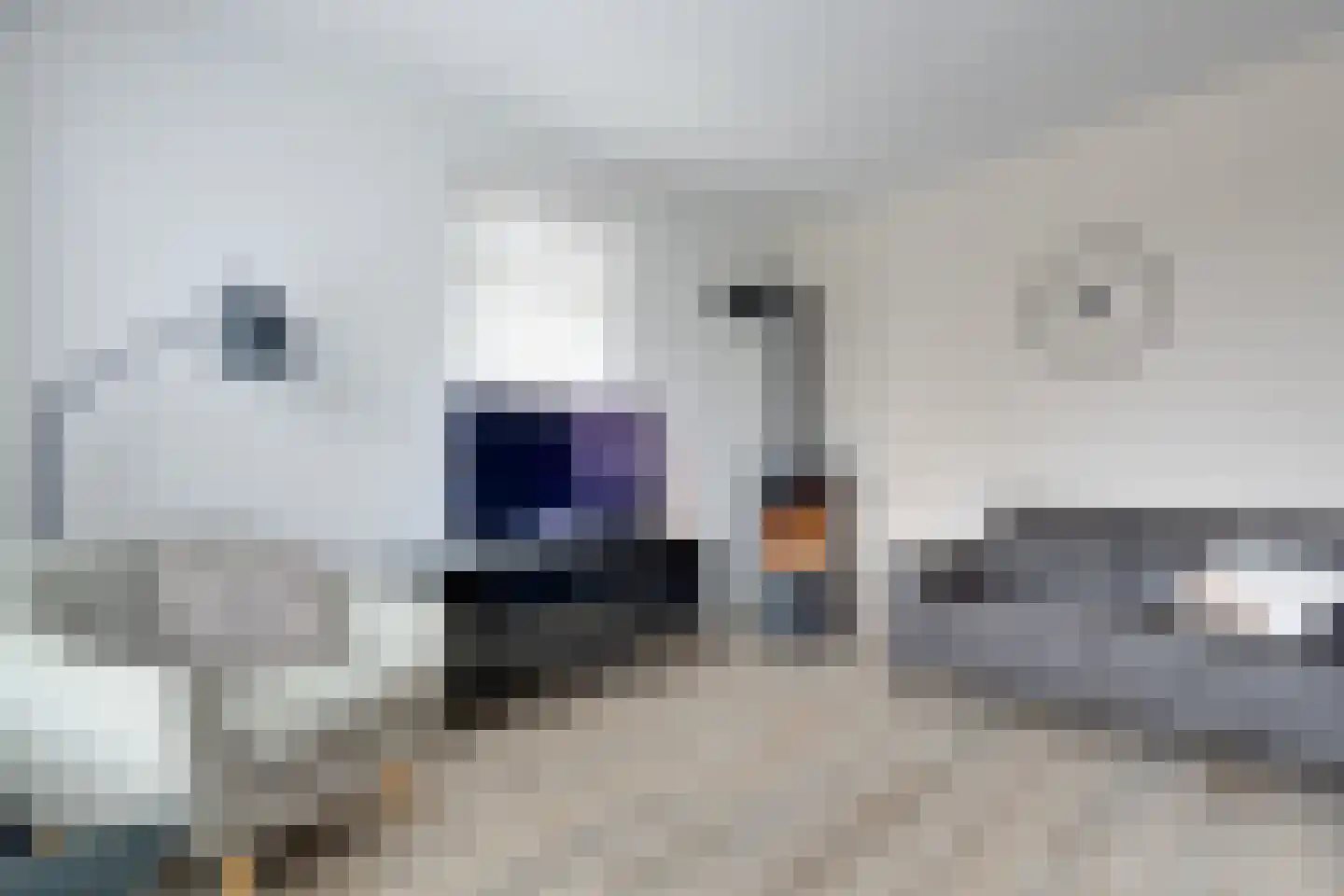 Bosanemoon 70 Assen thumbnail 7