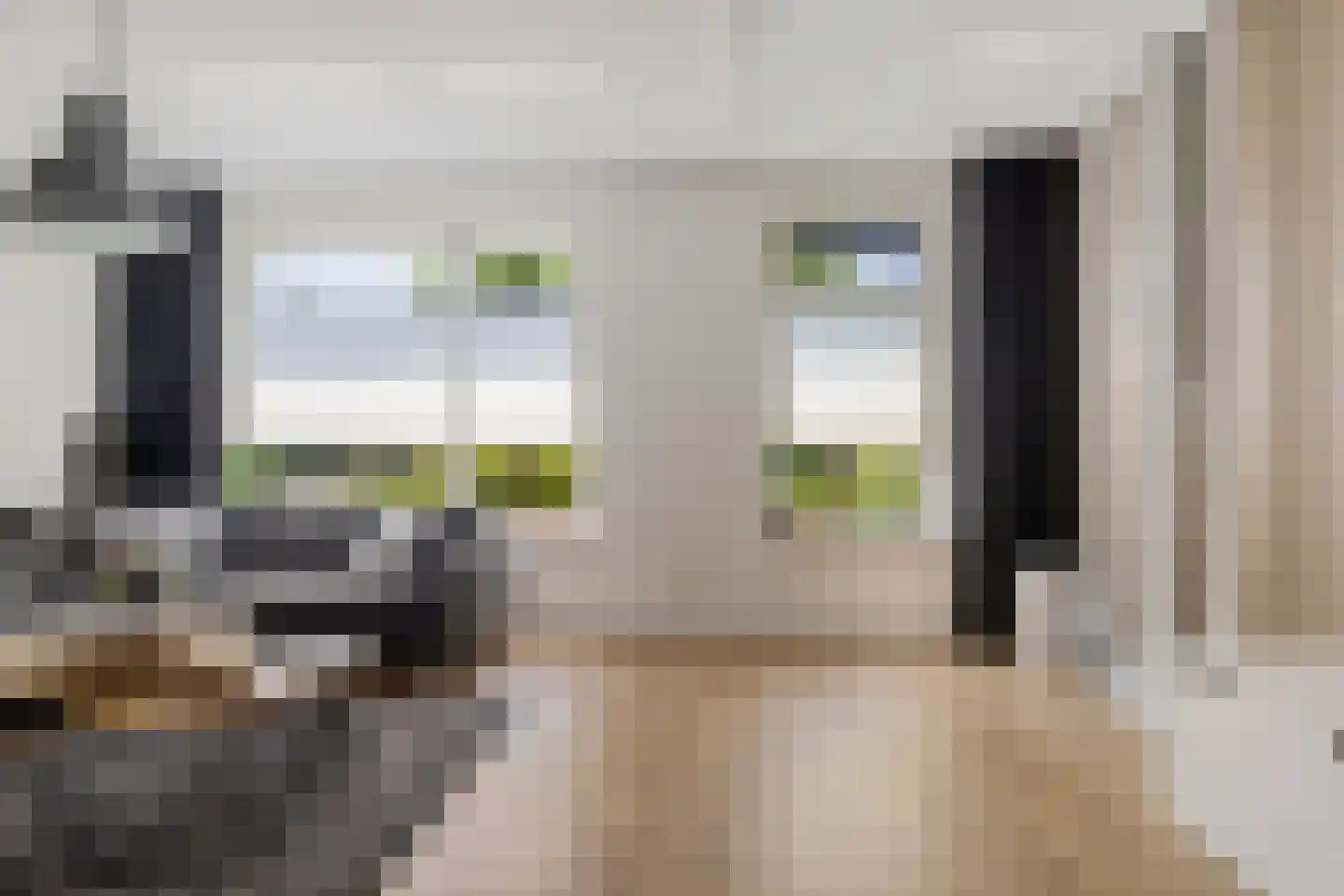 Bosanemoon 72 Assen thumbnail 10