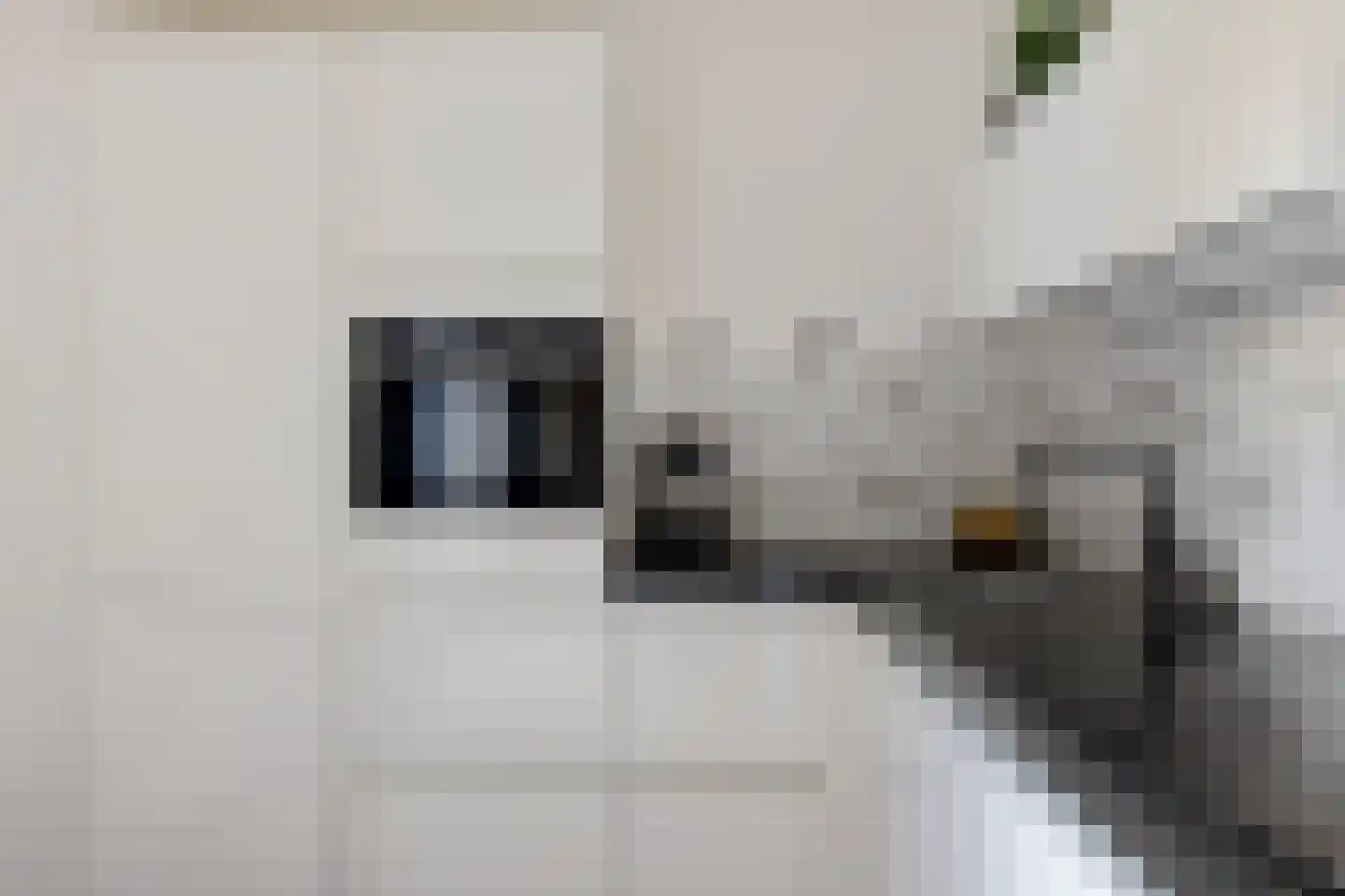 Bosanemoon 72 Assen thumbnail 18