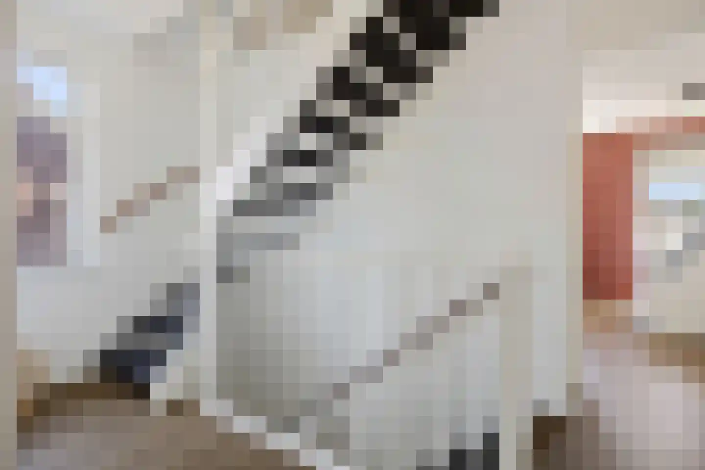 Bosanemoon 72 Assen thumbnail 23