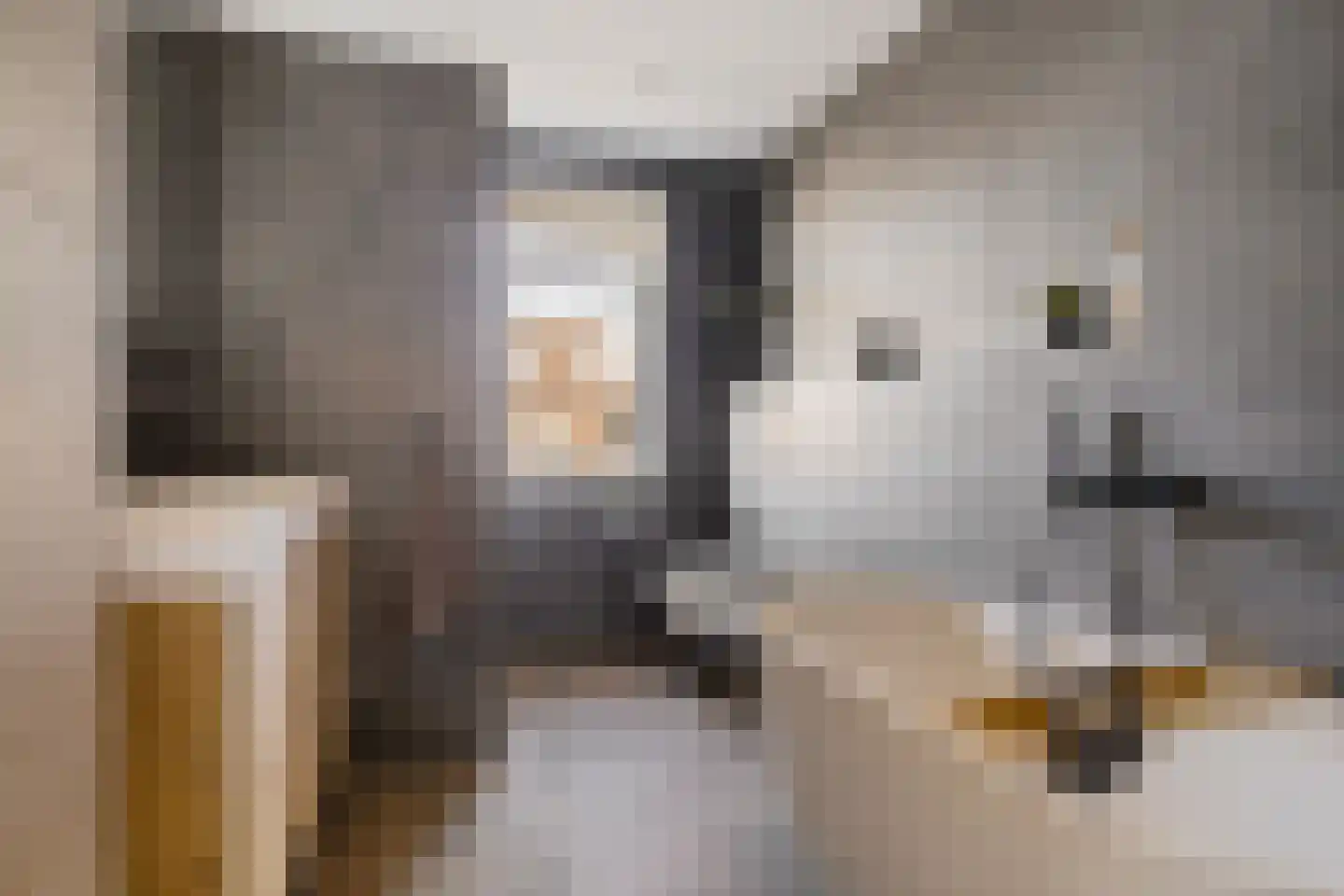 Bosanemoon 72 Assen thumbnail 29