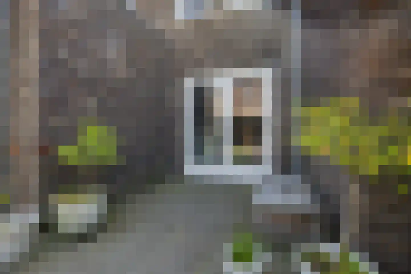 Bosanemoon 72 Assen thumbnail 38