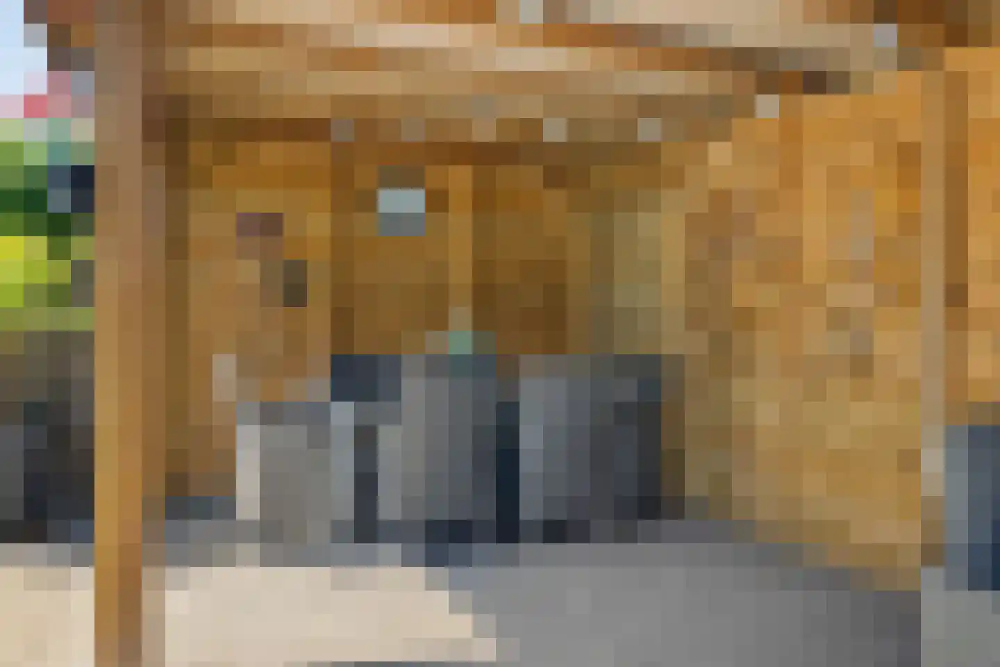 Bosanemoon 72 Assen thumbnail 41