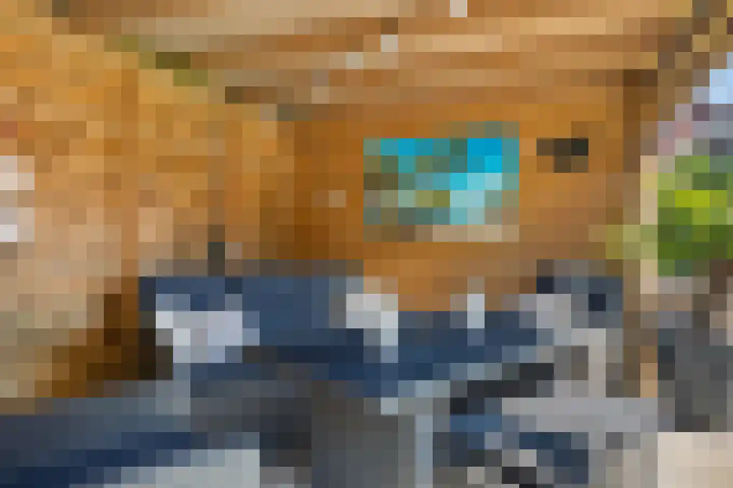 Bosanemoon 72 Assen thumbnail 42
