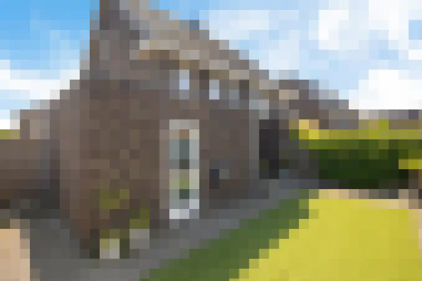 Bosanemoon 72 Assen thumbnail 43