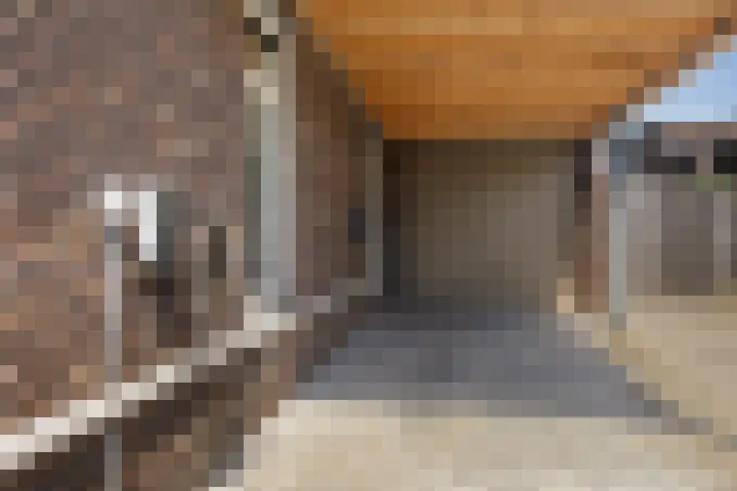 Bosanemoon 72 Assen thumbnail 5