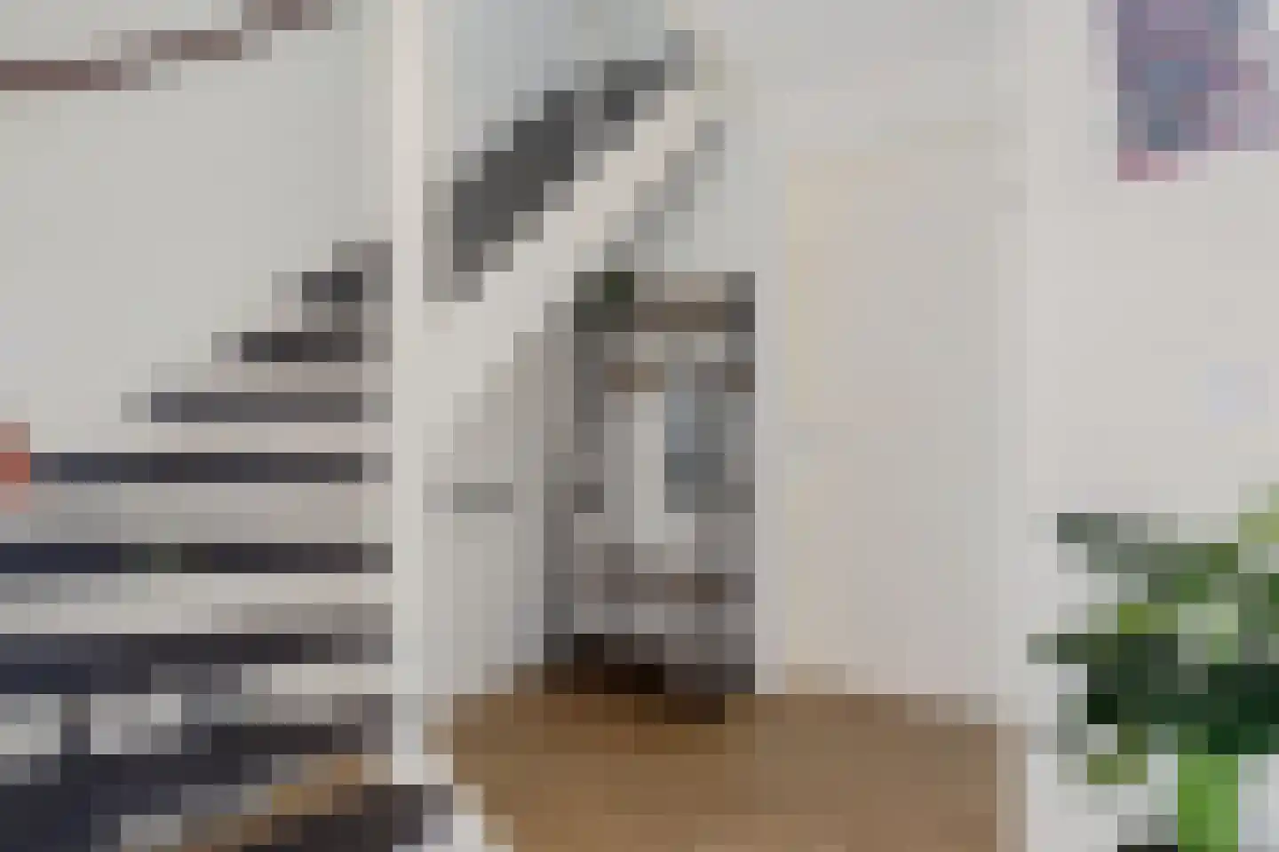 Bosanemoon 72 Assen thumbnail 7