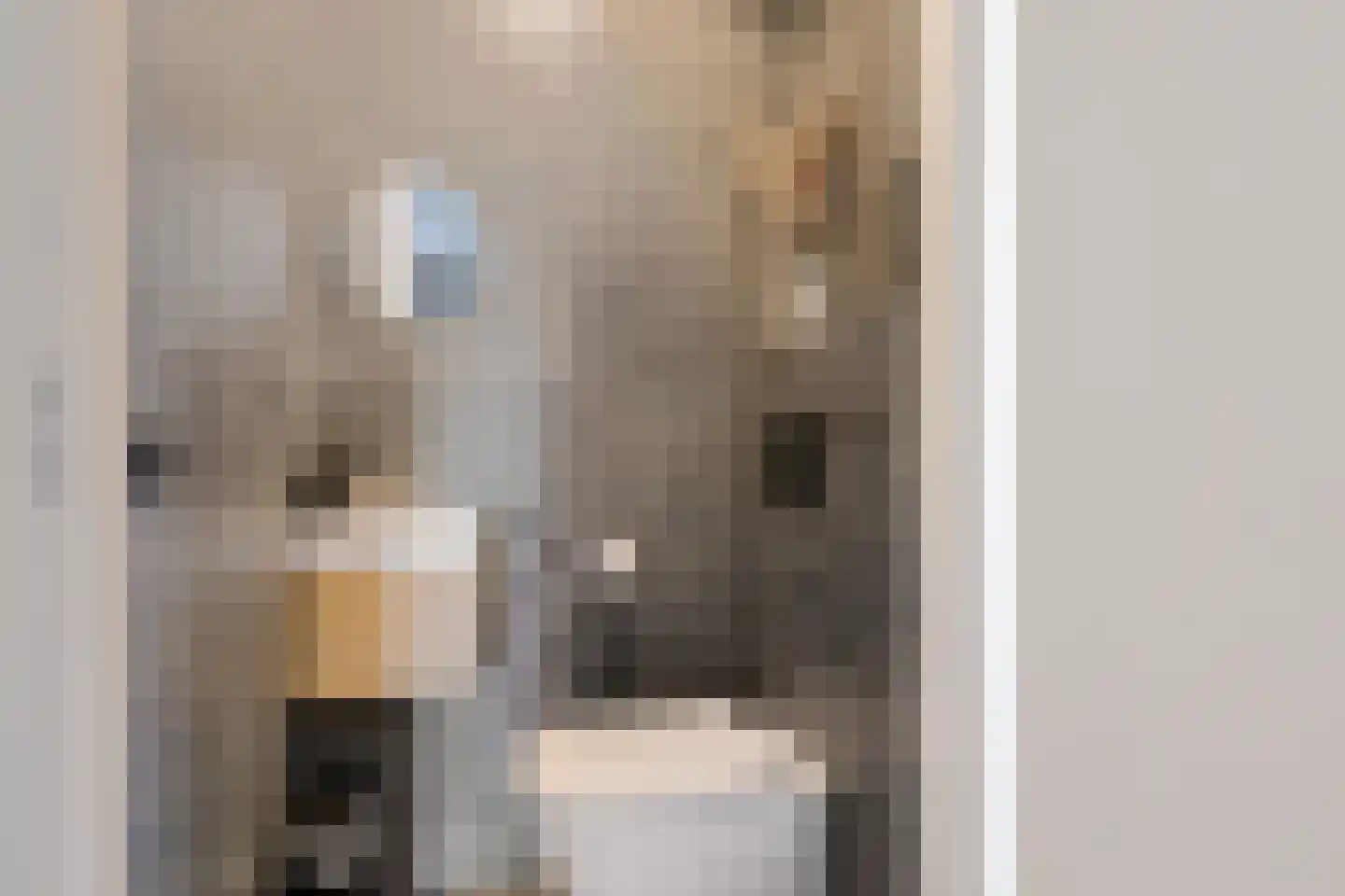 Bosanemoon 72 Assen thumbnail 8
