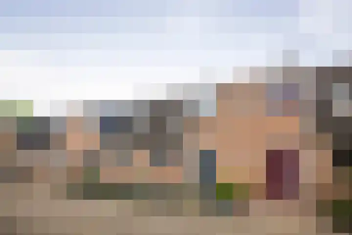 Bosanemoon 8 Deventer