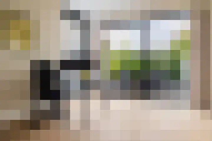 Bosanemoonstraat 10 Ulvenhout thumbnail 18