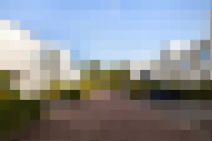 Bosanemoonstraat 10 Ulvenhout thumbnail 37