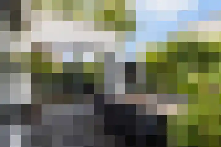 Bosanemoonstraat 10 Ulvenhout thumbnail 5