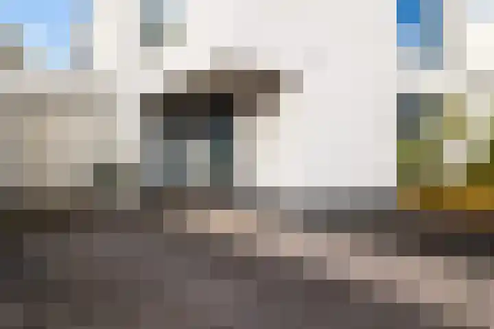 Bosanemoonstraat 10 Ulvenhout thumbnail 7