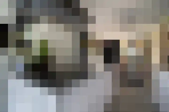Bosanemoonstraat 15 Ulvenhout thumbnail 19