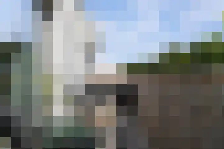Bosanemoonstraat 15 Ulvenhout thumbnail 29
