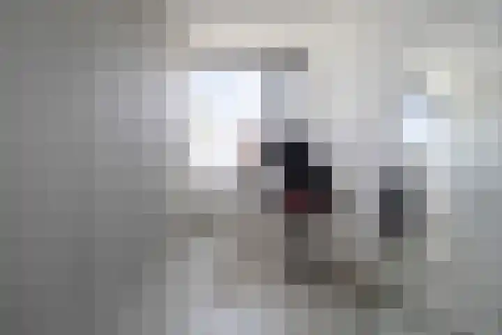 Bosanemoonstraat 15 Ulvenhout thumbnail 31
