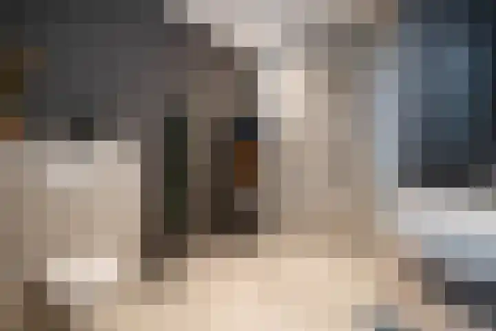 Bosanemoonstraat 15 Ulvenhout thumbnail 37