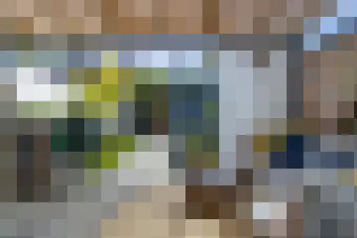 Bosanemoonstraat 15 Ulvenhout thumbnail 5