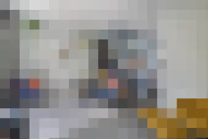 Bosanemoonstraat 15 Ulvenhout thumbnail 7