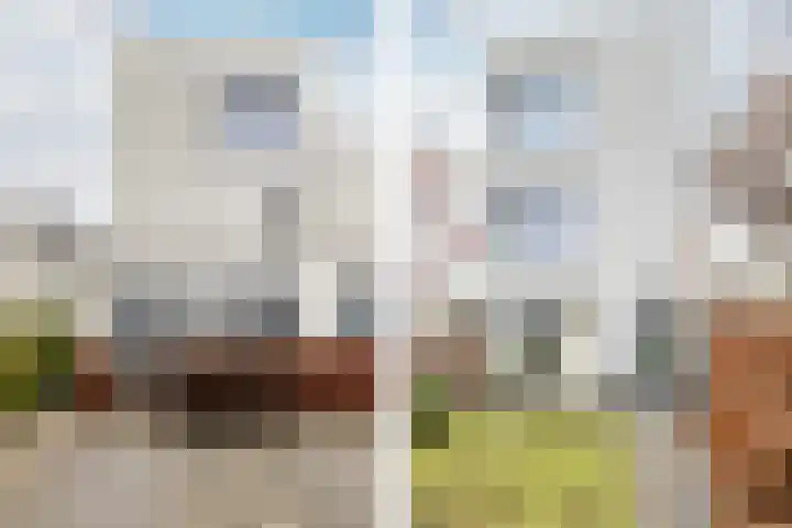 Bosanemoonstraat 7 Ulvenhout thumbnail 26