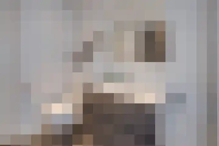 Bosbeek 10 Geleen thumbnail 23