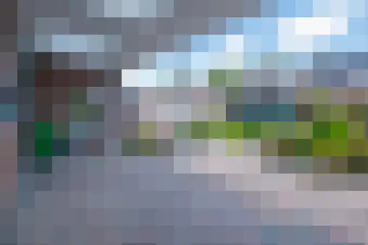 Bosbeek 10 Geleen thumbnail 31