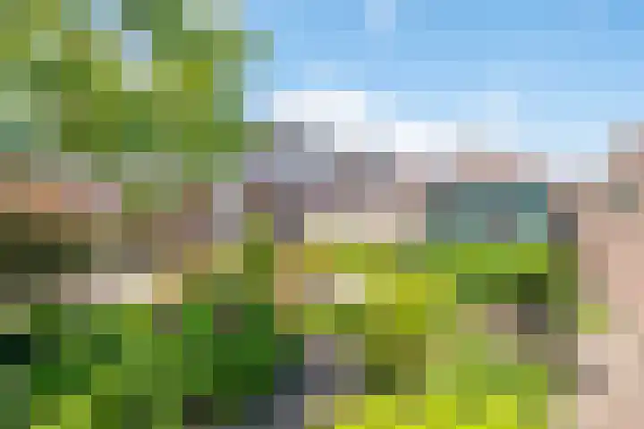 Bosbeek 10 Geleen thumbnail 33