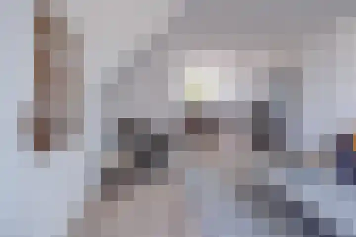 Bosbeek 10 Geleen thumbnail 7
