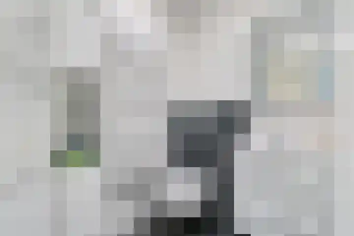 Bosbeek 30 Geleen thumbnail 18