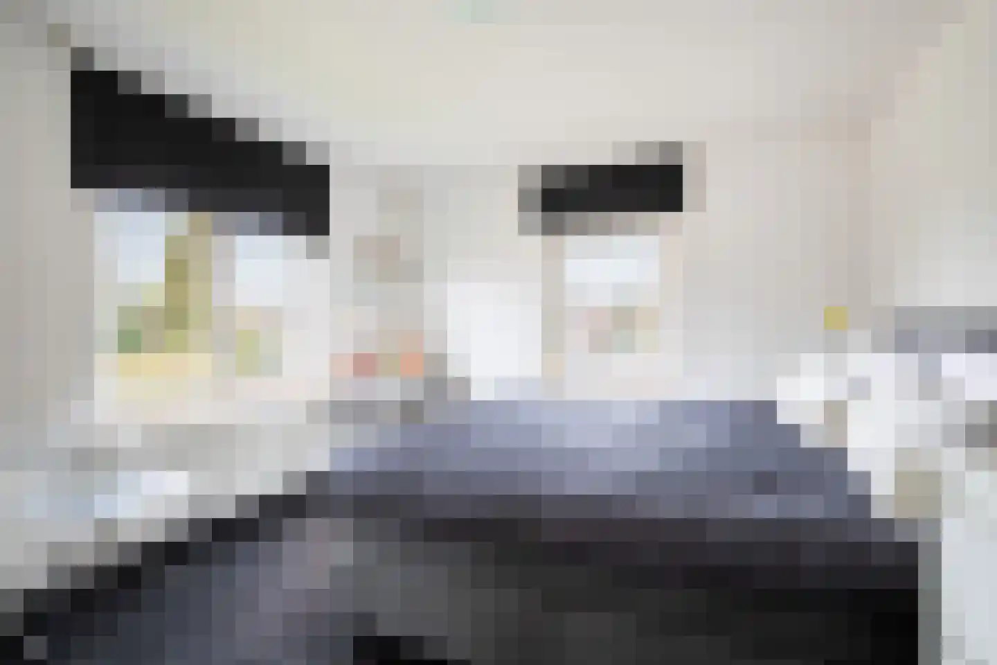 Bosbeek 4 Geleen thumbnail 13