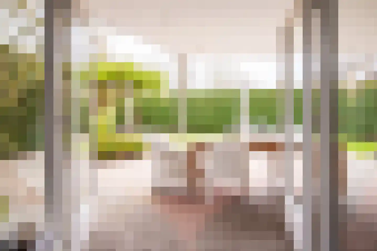 Bosbeek 4 Geleen thumbnail 17